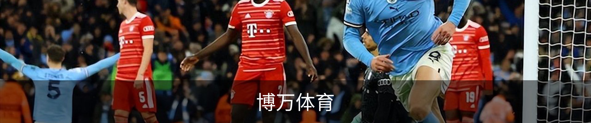 博万体育